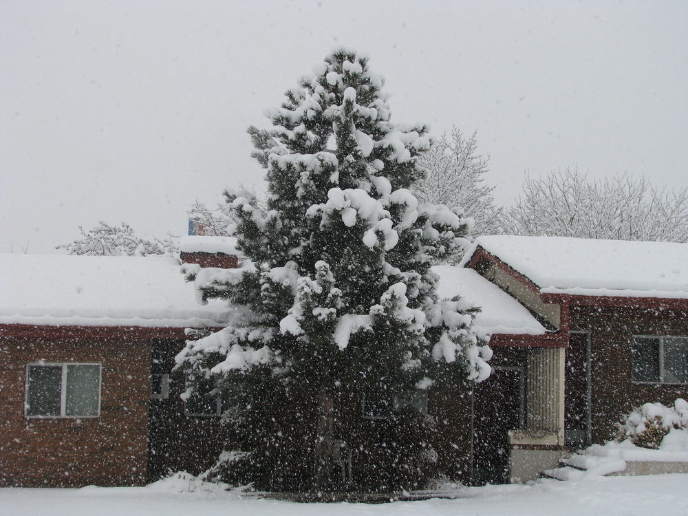 Frontier Lodge Glenwood Springs Exterior photo